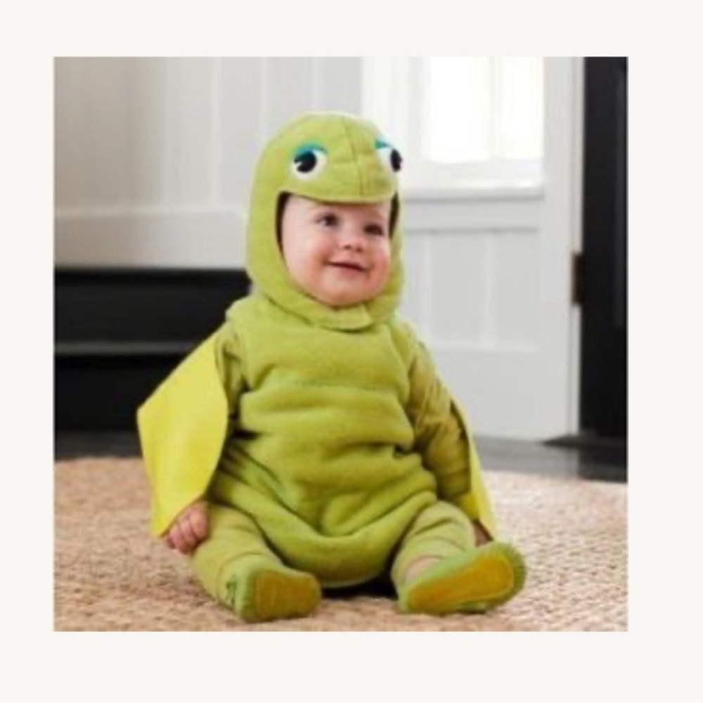 Pottery Barn Kids Turtle Costume